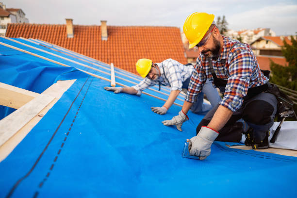 Quick and Trustworthy Emergency Roof Repair Services in Homosassa, FL